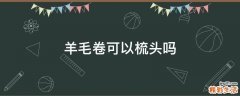 羊毛卷可以梳头吗