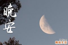 晚安心语2023每日一签40句