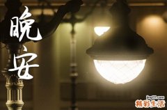 晚安心语2023睡前一句话 发朋友圈的精美句子