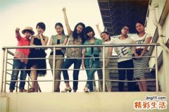 辣木养生茶的功效