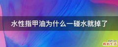 水性指甲油为什么一碰水就掉了