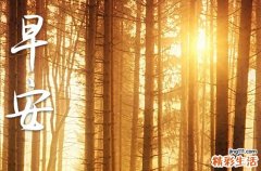 10句 给顾客的早安问候语2023