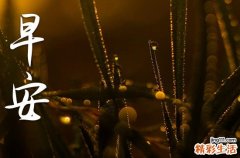 2023感恩节给父母的暖心问候 感恩父母的早安祝福语录