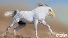 2 幼儿冬季保健小常识