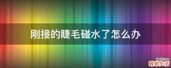 刚接的睫毛碰水了怎么办