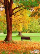 盆腔结缔组织炎方三盆腔灵