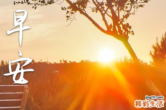 2023重阳节文艺唯美的早安说说大全