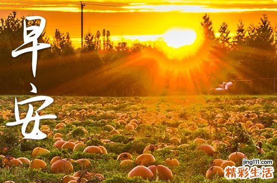 早安祝福心语2023