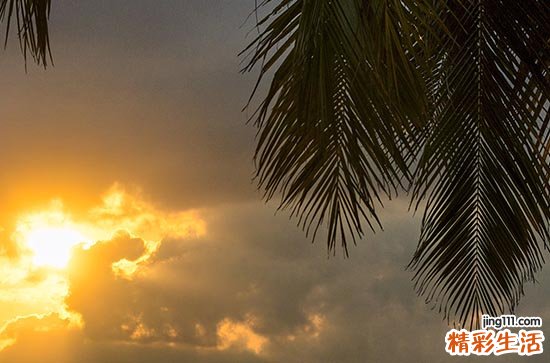 2023年“入伏”时间表