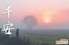 2023早安心语：你不用多好，我喜欢就好有哪些？