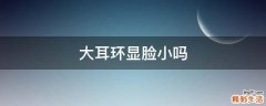 大耳环显脸小吗