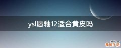 ysl唇釉12适合黄皮吗