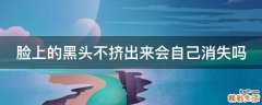 脸上的黑头不挤出来会自己消失吗