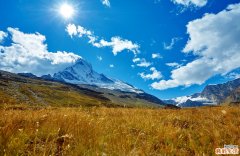 不同类型空腹血糖治疗各不同