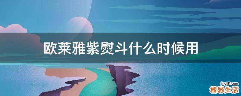 欧莱雅紫熨斗什么时候用