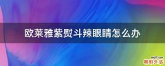 欧莱雅紫熨斗辣眼睛怎么办