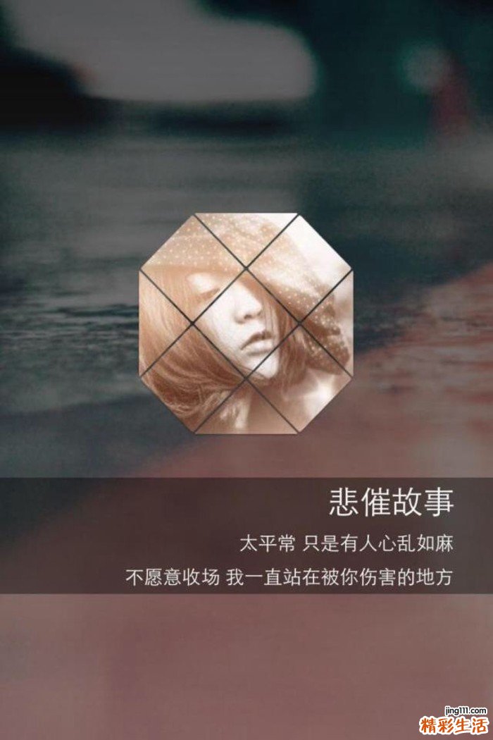 5 白头翁茎叶