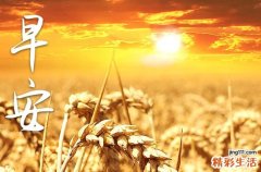 2023年周末早安温馨问候语大全