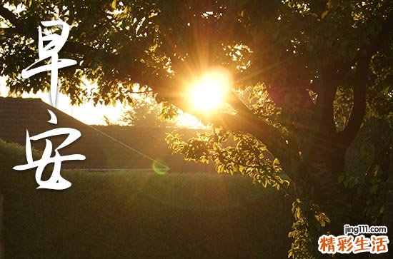 2023八月你好的文艺早安说说句子80句