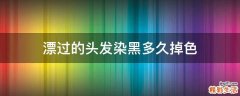 漂过的头发染黑多久掉色
