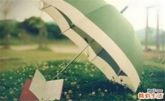 燕窝要如何保存