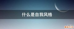什么是自我风格