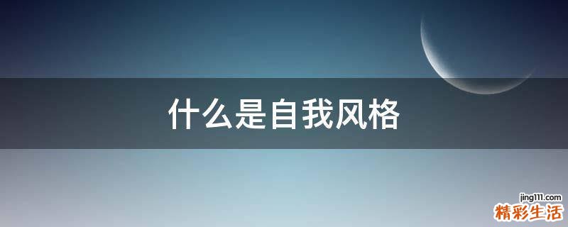 什么是自我风格
