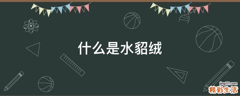 什么是水貂绒