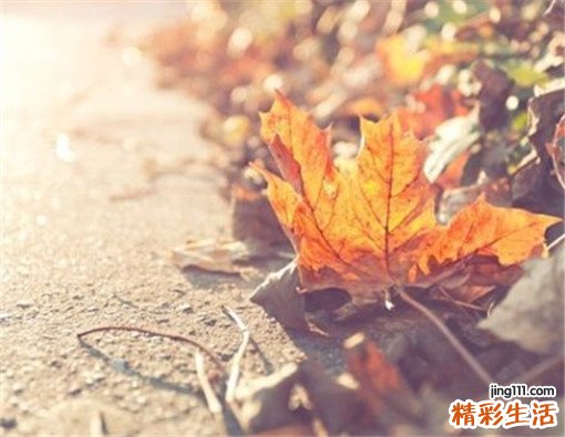 益肾消肿丸