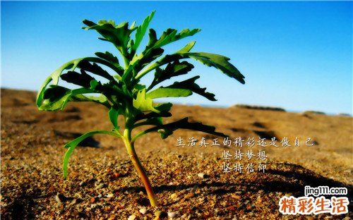 12月适合喝什么汤