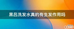 黑吕洗发水真的有生发作用吗