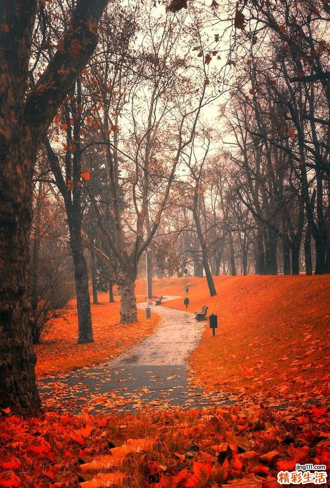 黄褐斑食疗方 精选