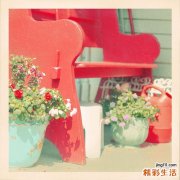 2 冬天吃什么增加免疫力