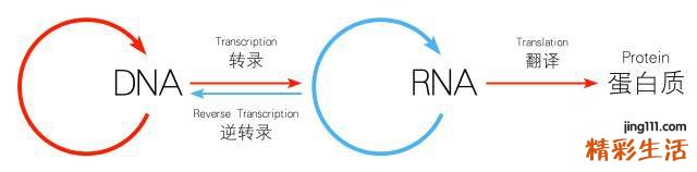 多替拉韦钠,DTG 特威凯,真的那么“神”么?之二