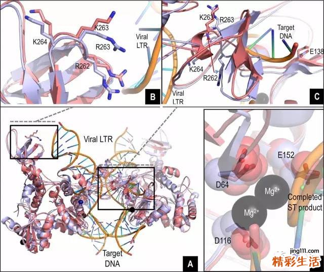 多替拉韦钠,DTG 特威凯,真的那么“神”么?之二