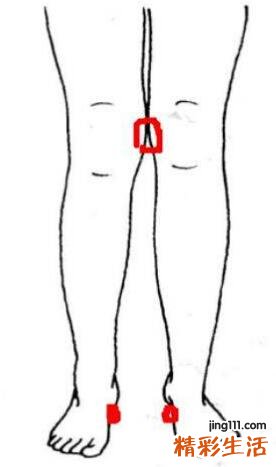女生标准腿型到底长什么样?