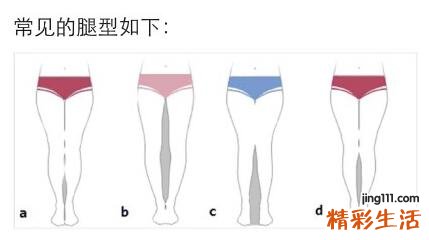 女生标准腿型到底长什么样?