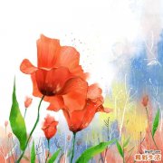 竞技健美操的编排特点