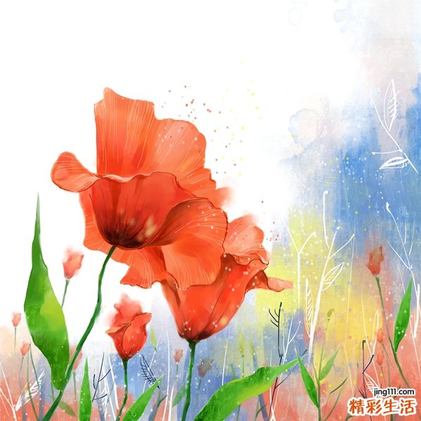 竞技健美操的编排特点