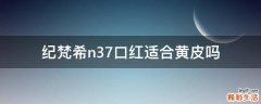 纪梵希n37口红适合黄皮吗