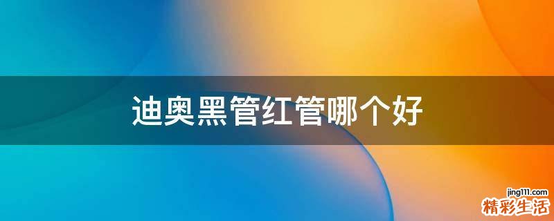 迪奥黑管红管哪个好