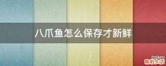 八爪鱼怎么保存才新鲜