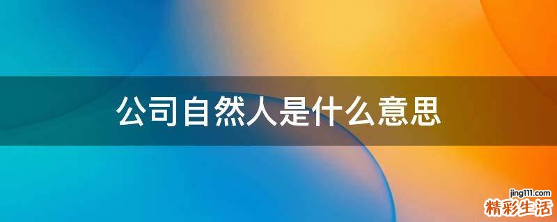 公司自然人是什么意思