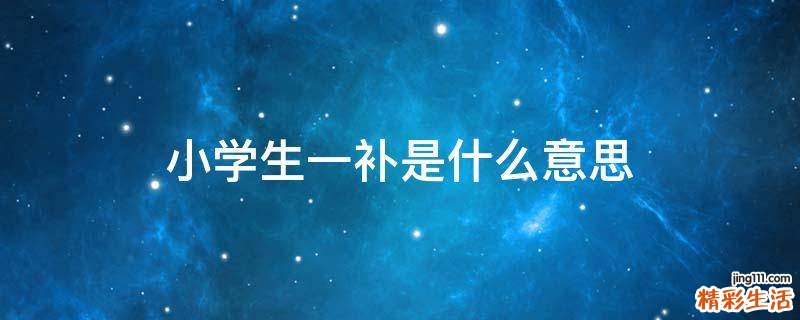 小学生一补是什么意思