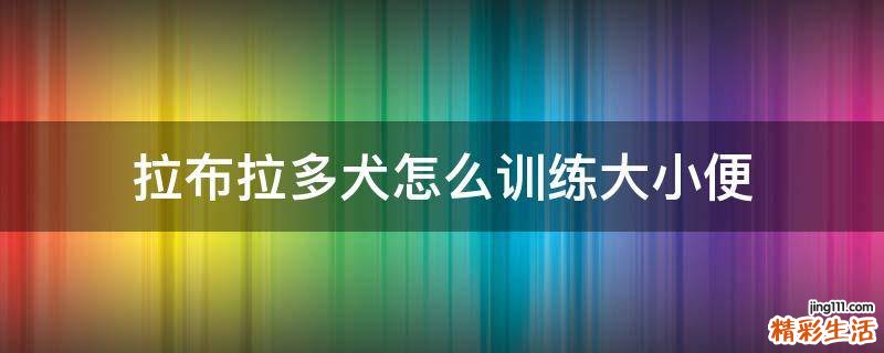 拉布拉多犬怎么训练大小便
