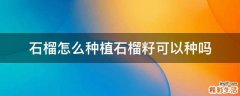石榴怎么种植石榴籽可以种吗