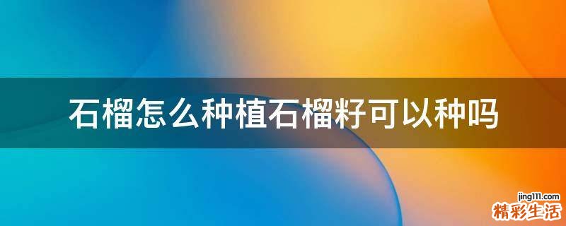 石榴怎么种植石榴籽可以种吗