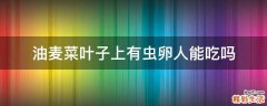油麦菜叶子上有虫卵人能吃吗