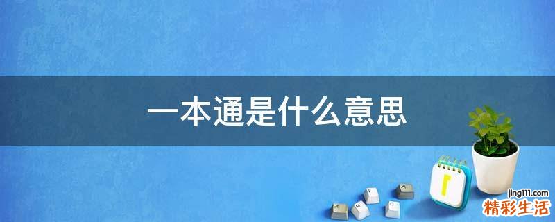 一本通是什么意思