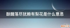 酴釄落尽犹赖有梨花是什么意思